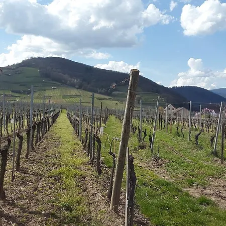 Apartamento Between Colmar And Kaysersberg - 