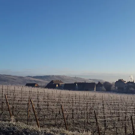 Between Colmar And Kaysersberg - 